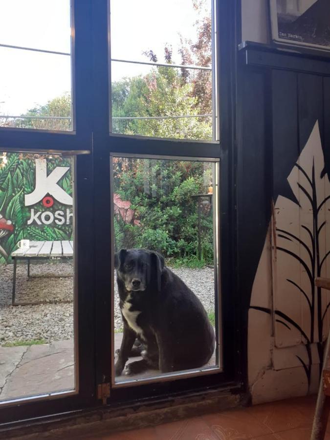 Kosh Hostel ซานคาร์ลอส เด บาริโลเช ภายนอก รูปภาพ