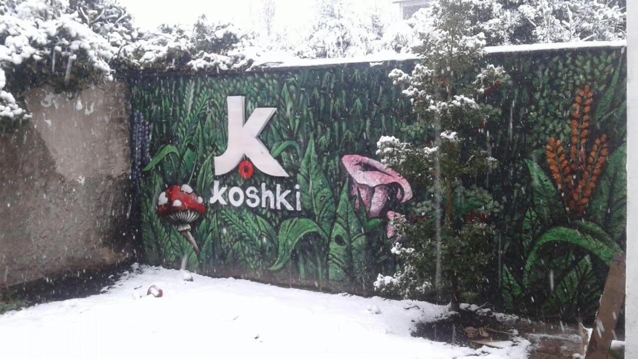 Kosh Hostel ซานคาร์ลอส เด บาริโลเช ภายนอก รูปภาพ